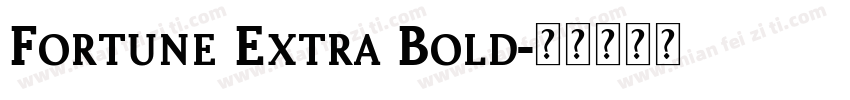Fortune Extra Bold字体转换
